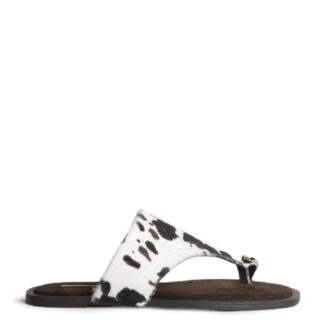 FLAT ANIMAL CORINA U4CR548062