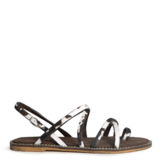 FLAT ANIMAL CORINA U4CR548562